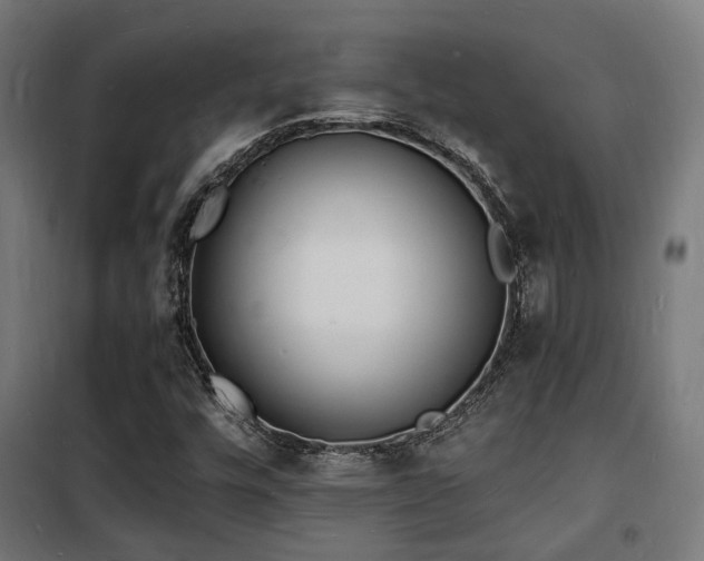 X0000102221448200807251159
