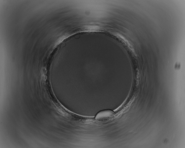 X0000102221449200807251159