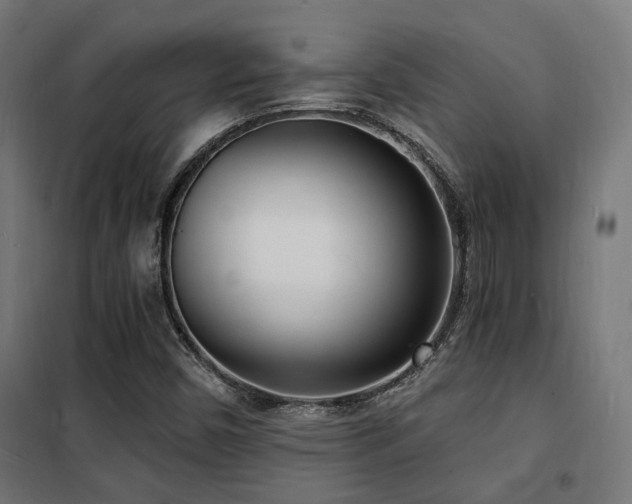 X0000102221450200807251159
