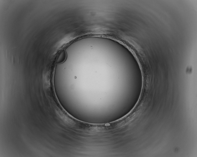 X0000102221451200807251159