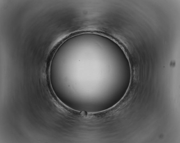 X0000102221452200807251159