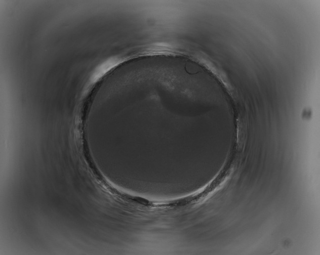 X0000102221453200807251159