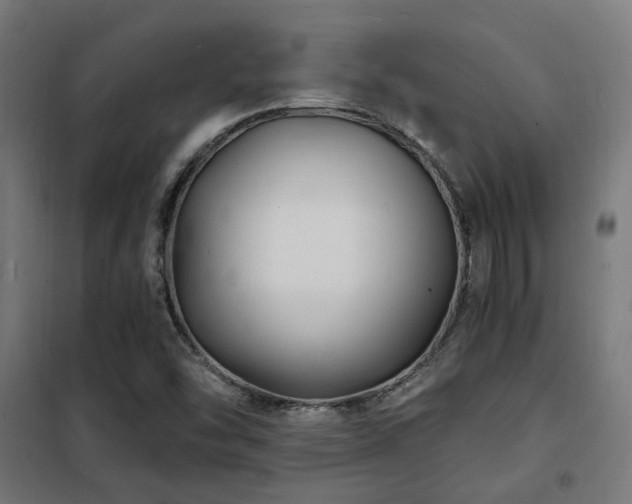 X0000102221454200807251159