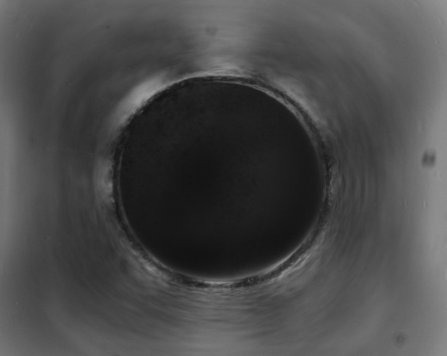 X0000102221455200807251159
