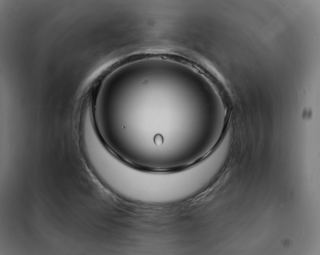 X0000102221456200807251159