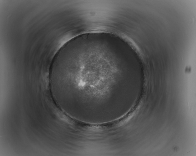 X0000102221457200807251159