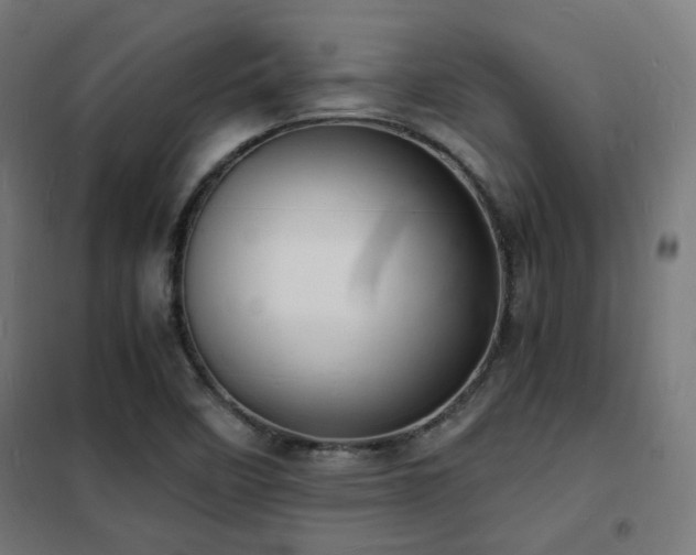 X0000102221458200807251159