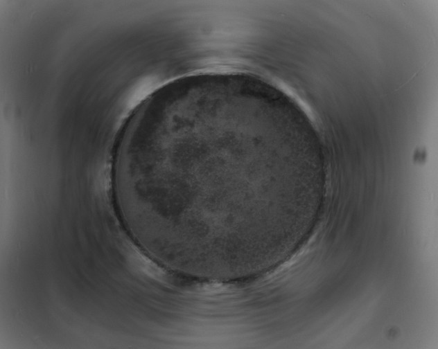 X0000102221459200807251159