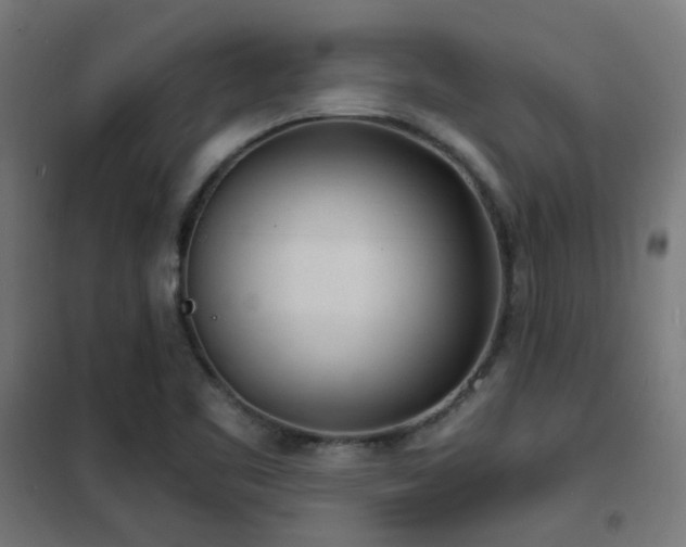 X0000102221461200807251159
