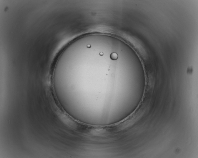 X0000102221462200807251159