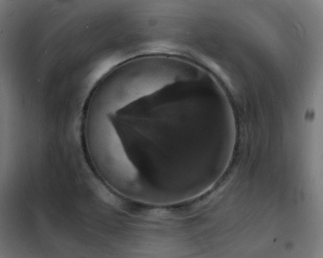 X0000102221463200807251159