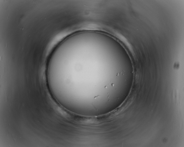 X0000102221464200807251159