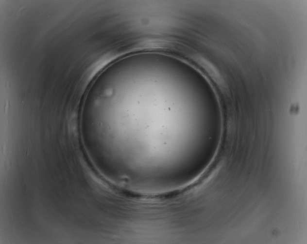 X0000102221465200807251159