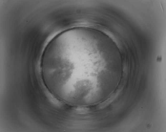 X0000102221466200807251159
