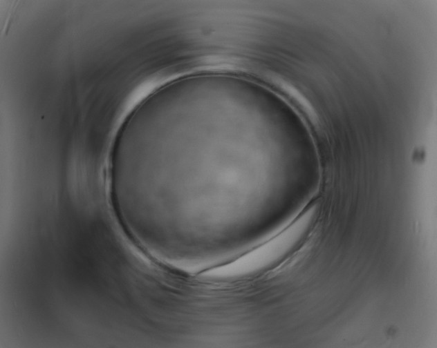 X0000102221467200807251159