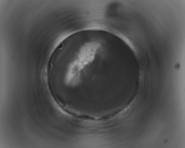 X0000102221468200807251159