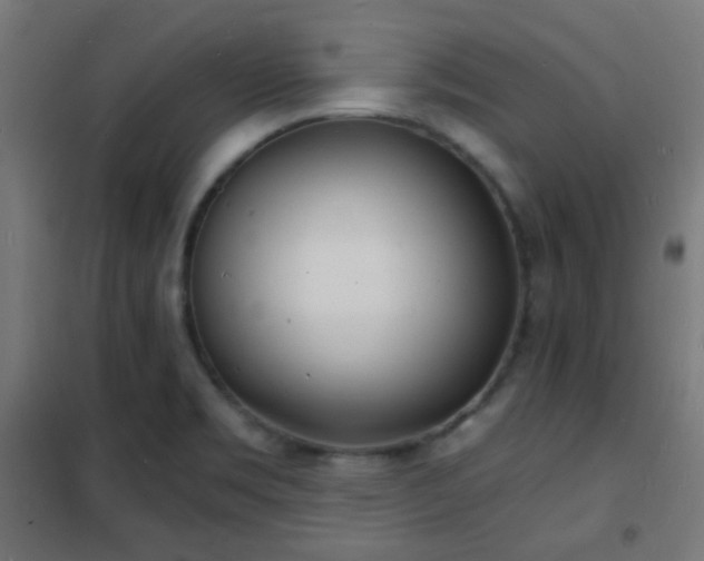 X0000102221469200807251159