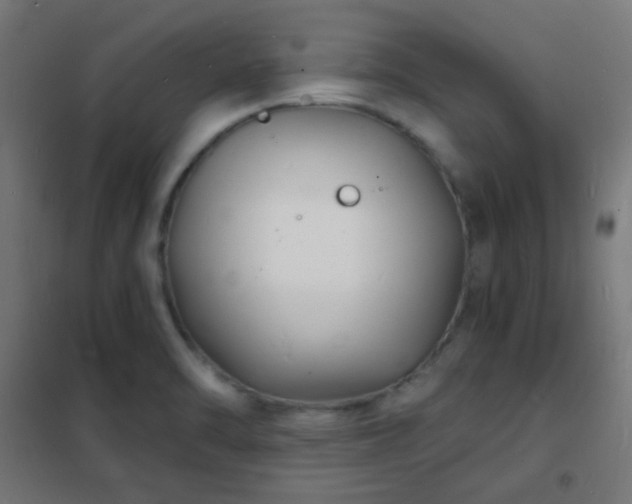 X0000102221470200807251159