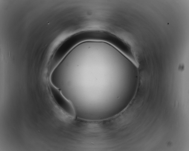 X0000102221472200807251159