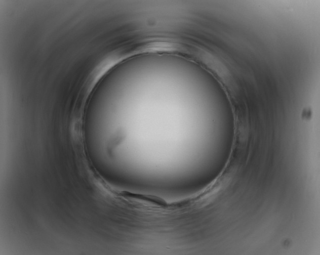 X0000102221473200807251159