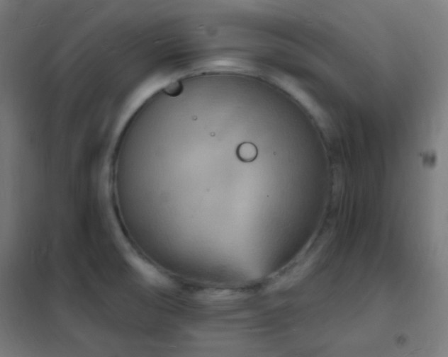 X0000102221474200807251159
