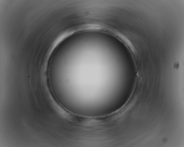 X0000102221475200807251159