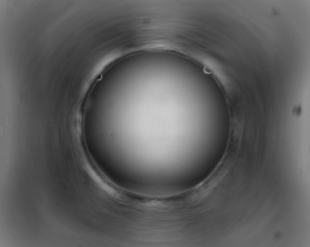 X0000102221476200807251159