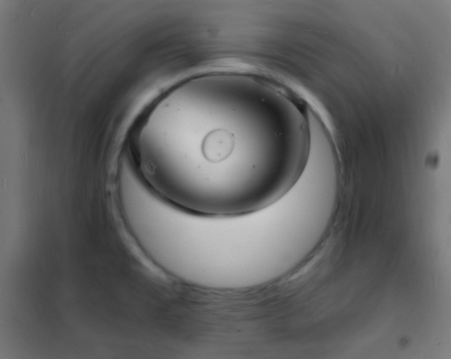 X0000102221477200807251159