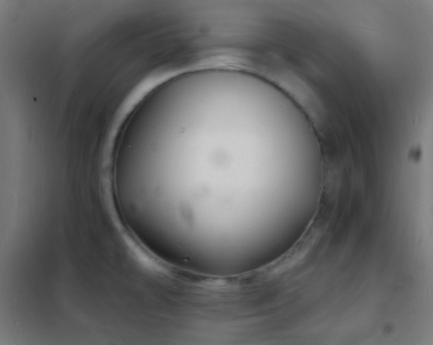 X0000102221478200807251159