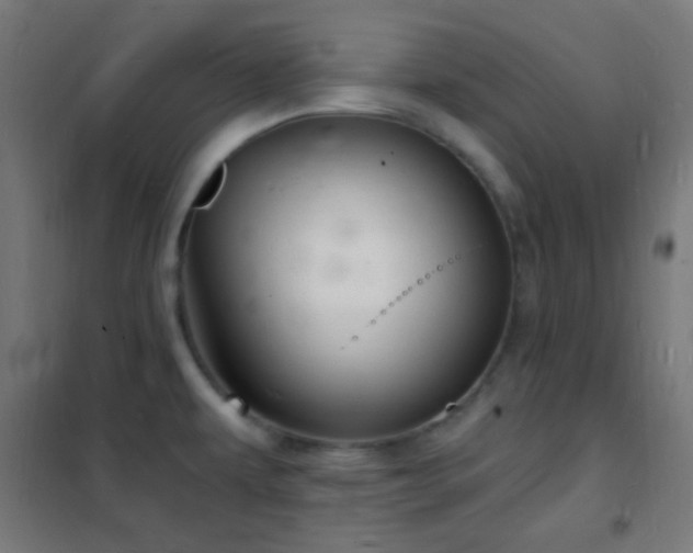X0000102221479200807251159