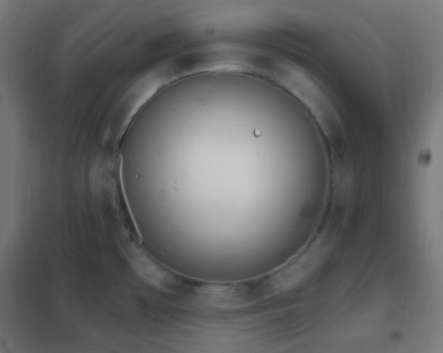 X0000102221481200807251159