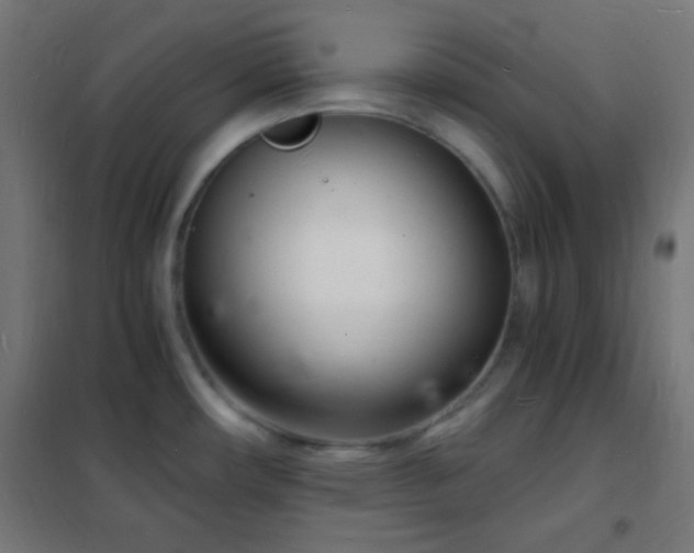 X0000102221482200807251159