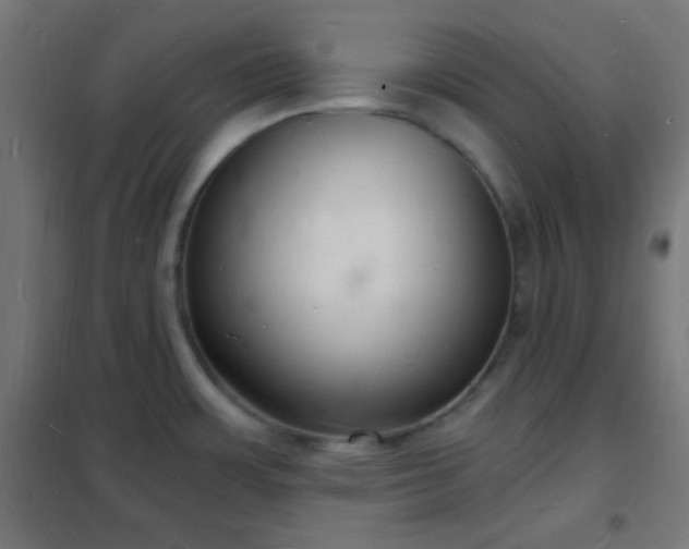 X0000102221483200807251159