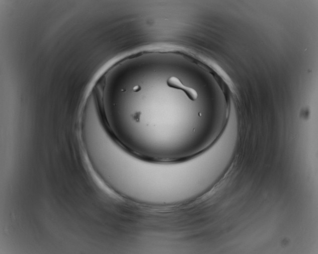 X0000102221484200807251159