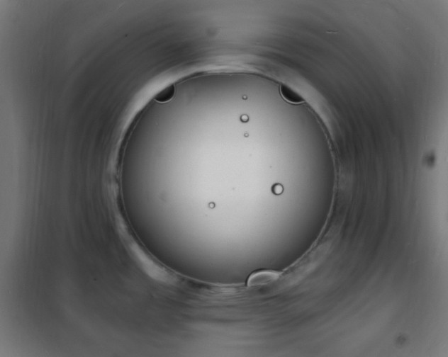 X0000102221485200807251159
