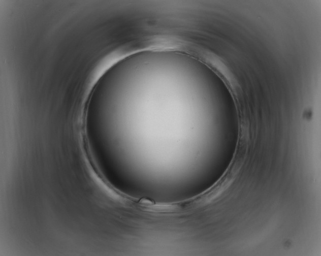 X0000102221487200807251158
