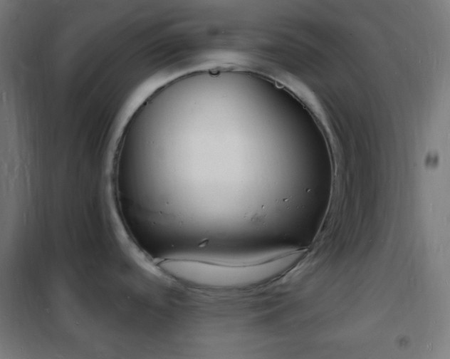 X0000102221488200807251158