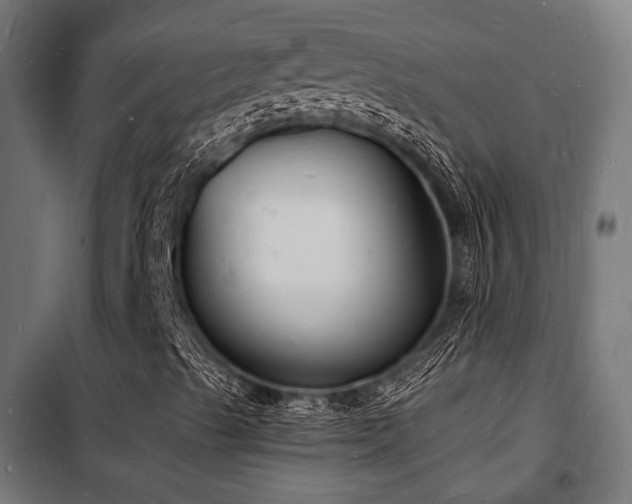 X0000102221489200807251158