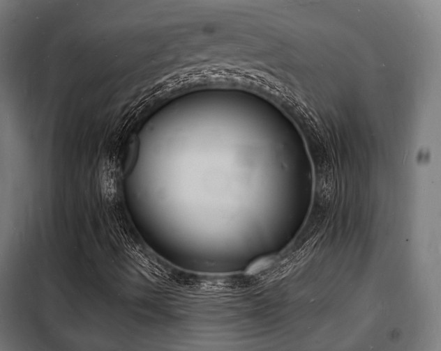 X0000102221490200807251158