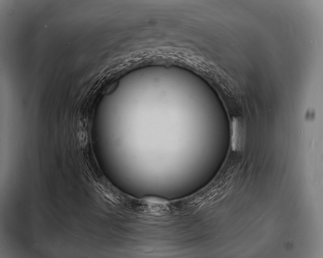 X0000102221491200807251158