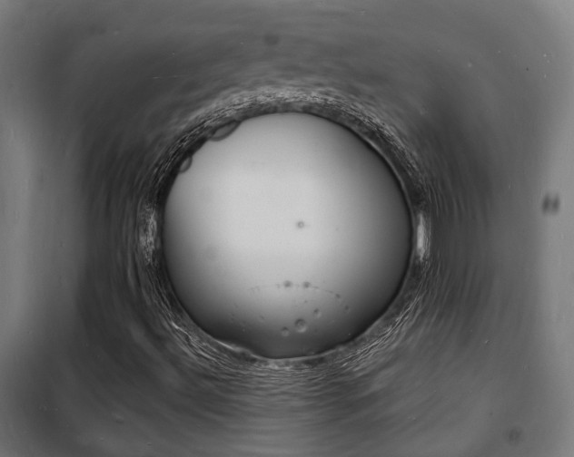 X0000102221492200807251158