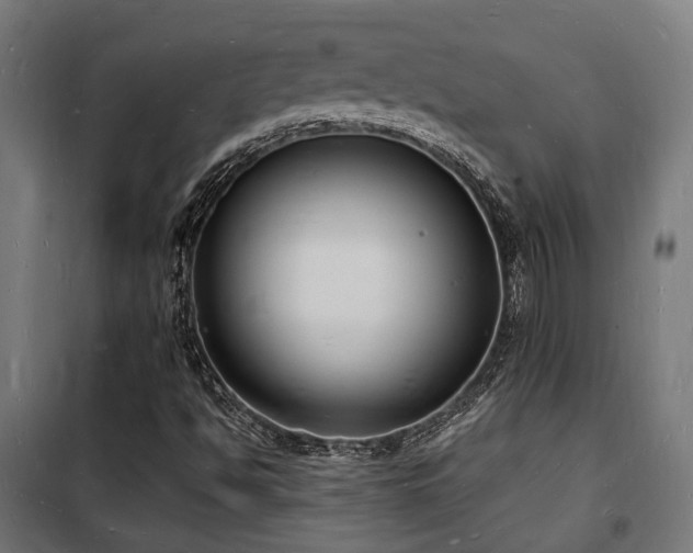 X0000102221494200807251158