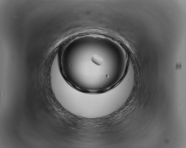 X0000102221496200807251158