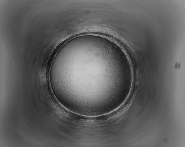 X0000102221497200807251158