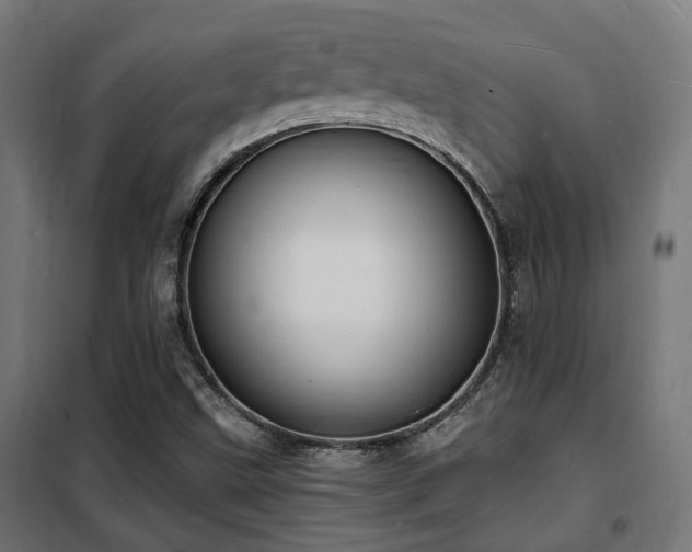 X0000102221499200807251158