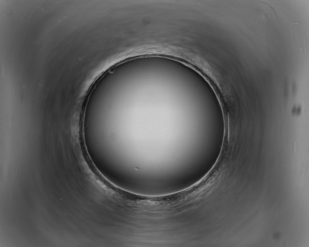 X0000102221500200807251158