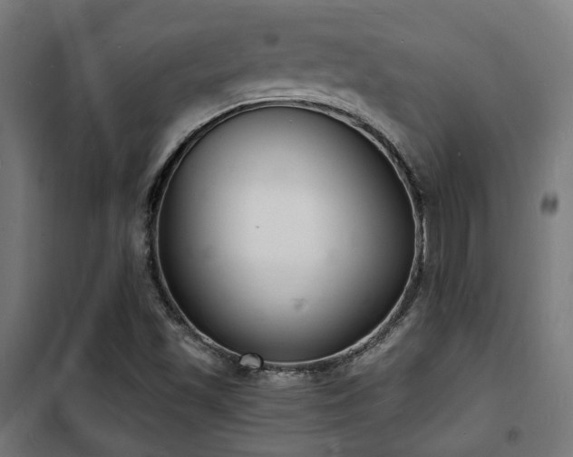 X0000102221501200807251158