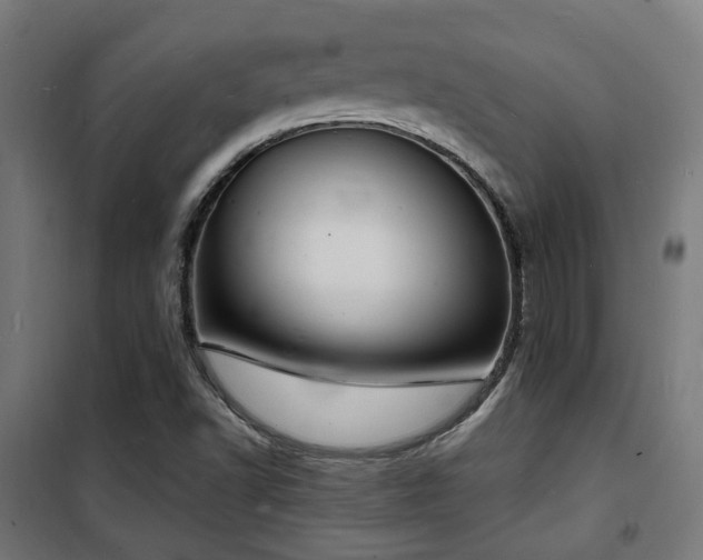 X0000102221502200807251158