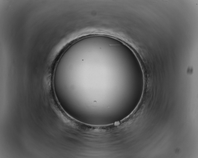 X0000102221503200807251158