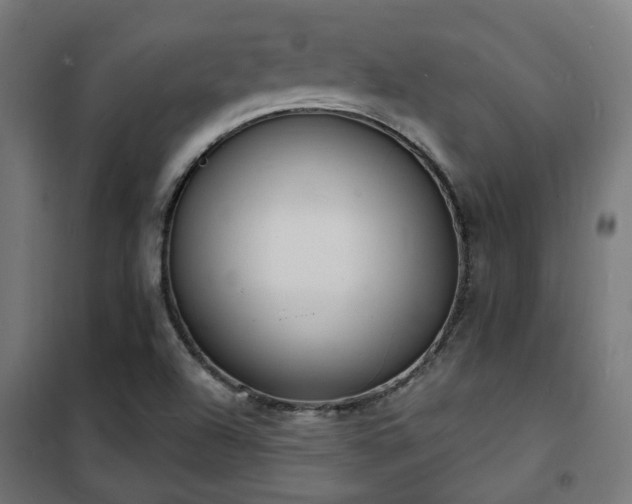 X0000102221504200807251158